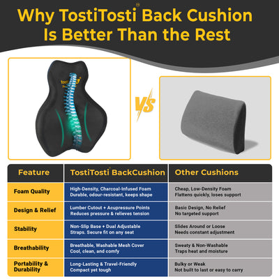 TostiTosti contoured back cushion compared with a standard lumbar pillow