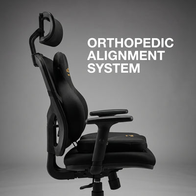 TostiTosti Seat & Back Support Cushion Bundle